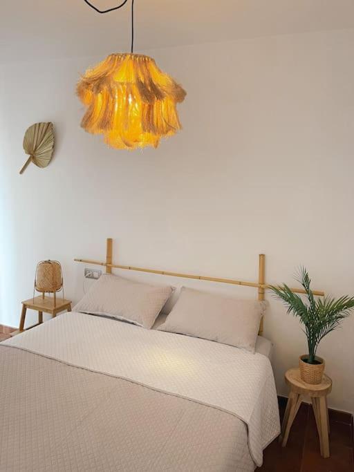 Apartamento Casa Bamboo Corralejo, Espacioso, Piscina Y Parking 外观 照片