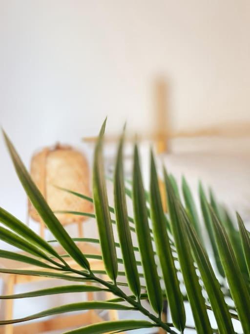 Apartamento Casa Bamboo Corralejo, Espacioso, Piscina Y Parking 外观 照片