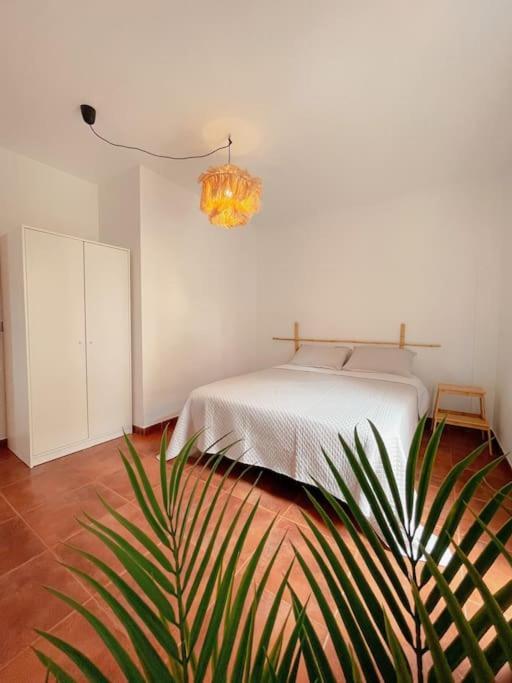 Apartamento Casa Bamboo Corralejo, Espacioso, Piscina Y Parking 外观 照片