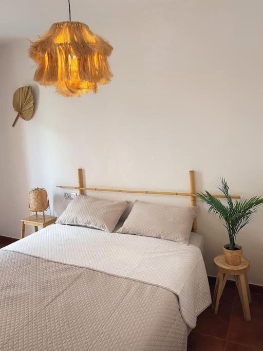 Apartamento Casa Bamboo Corralejo, Espacioso, Piscina Y Parking 外观 照片