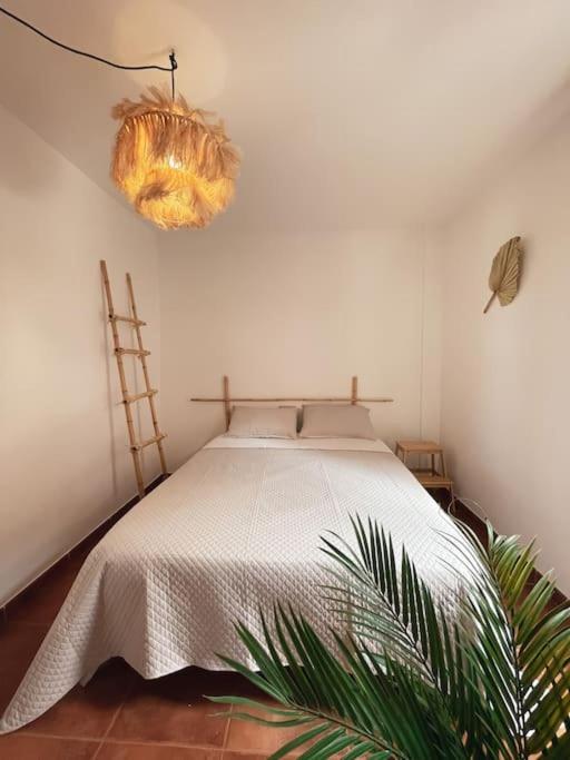 Apartamento Casa Bamboo Corralejo, Espacioso, Piscina Y Parking 外观 照片