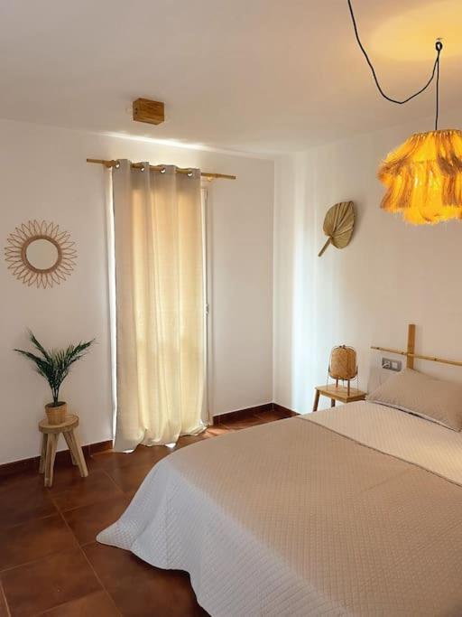 Apartamento Casa Bamboo Corralejo, Espacioso, Piscina Y Parking 外观 照片