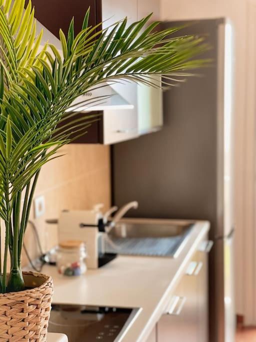 Apartamento Casa Bamboo Corralejo, Espacioso, Piscina Y Parking 外观 照片