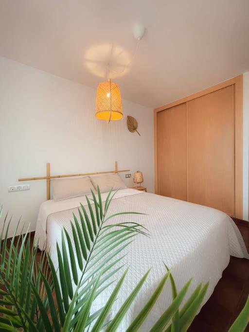 Apartamento Casa Bamboo Corralejo, Espacioso, Piscina Y Parking 外观 照片